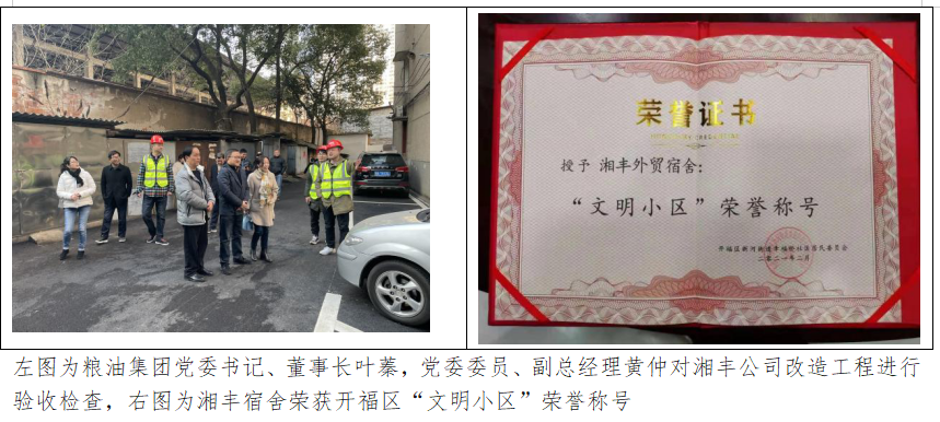 【建企70年專欄】征文活動⑨： 糧油人，我引以為傲的“標簽”       ——寫在糧油集團成立70周年之際