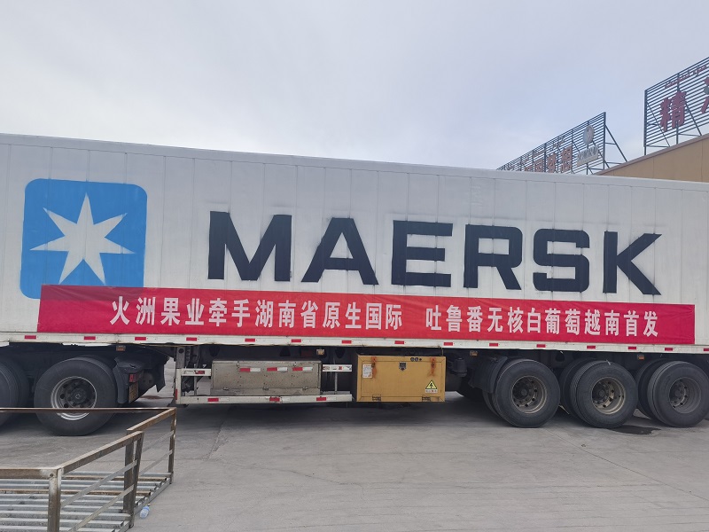 “品牌出?！边~上新臺階丨湖南糧油集團 “芙蓉”牌吐魯番無核白葡萄首發越南